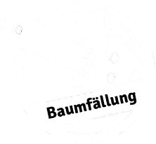 Baumfällung München und Nürnberg